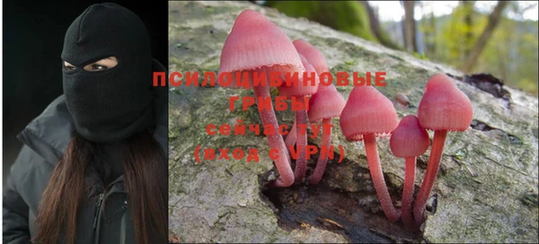 шишки Медногорск