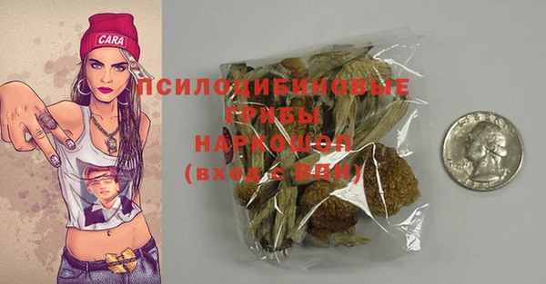 прущая мука Михайлов