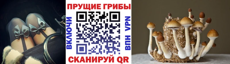 Псилоцибиновые грибы MAGIC MUSHROOMS  hydra   shop официальный сайт  Чудово 